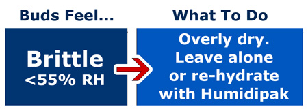 What to do when buds feel too dry during curing - either allow to continue curing in jars, or re-hydrate with a Boveda humidipak humidity control pack