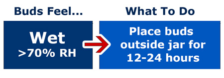 What to do when buds feel wet while curing - Place outside the jar for a few hours to help them dry out a little, then but them back in to continue curing your marijuana!