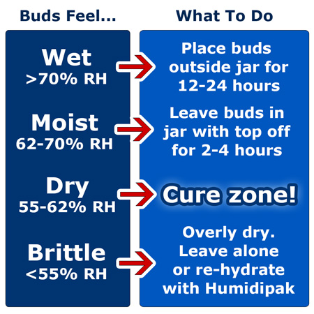 Overview of cannabis curing humidity requirements in the curing jars.