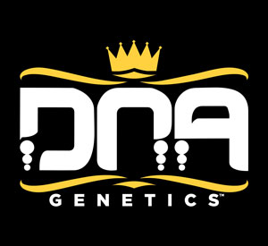 DNA Genetics logo - this marijuana seed breeder started in Amsterdam in 2004