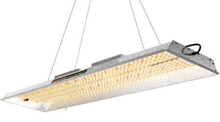 Mars Hydro TSL-2000 LED grow light for growing cannabis (300w led grow light)