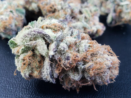 The cannabis bud quality on the Ocean Fruit buds was excellent though!