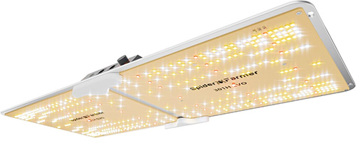 Get a LED grow light - great to use on clones or seed to weed - on Amazon.com!