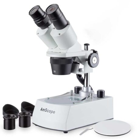 How to Look at Trichomes with a Magnifier | Grow Weed Easy