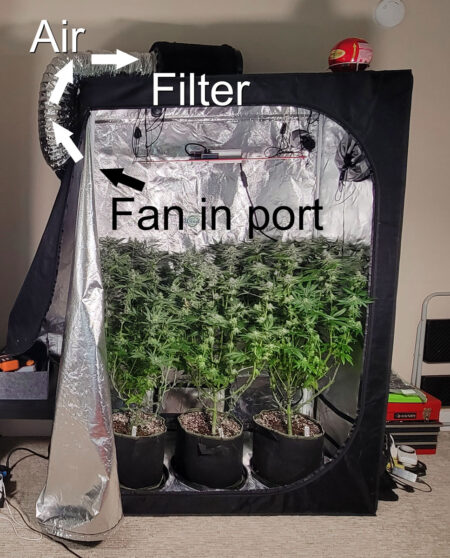 Exhaust option: put carbon filter on top of cannabis tent and exhaust fan in port