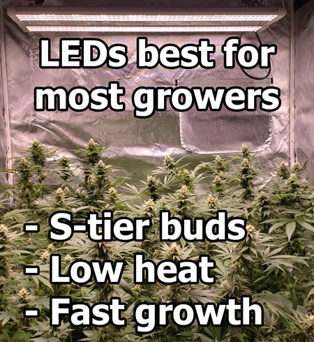 LED grow lights now the best grow lights for more indoor cannabis growers