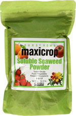 Get Seaweed kelp extract as a soluble powder on Amazon so you can make your marijuana plants more resistant to heat!