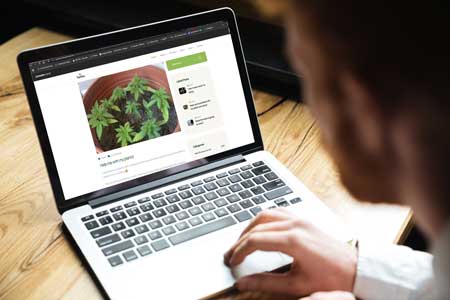 A cannabis forum can be good or bad. Seek out experienced growers, but always take every piece of advice with a grain of salt!