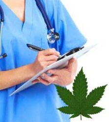 Cannabis growing plant doctor - fix your sick weed plants!