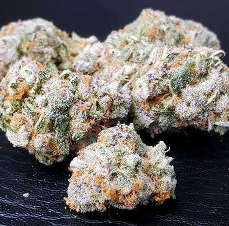 Sparkly cannabis nugs covered in trichomes, grown under LED grow light