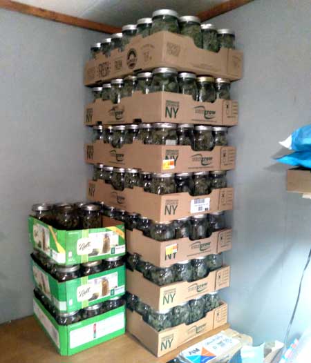 Mr. K example harvest