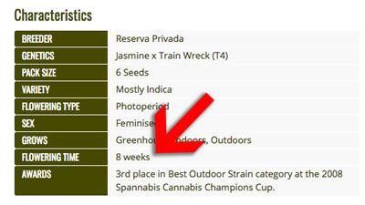 Luckily, when shopping for seeds, nearly all strain breeders usually give you an estimated flowering time for each strain