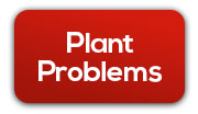Pot plant problems? This page will help you diagnose your sick cannabis plants and get the fix!