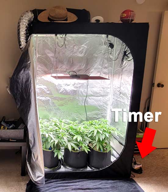 A grow tent with an LED grow light and a timer to control the light schedules