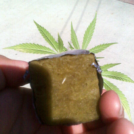 The marijuana version of "Awww" - seeing new roots appear from your clone