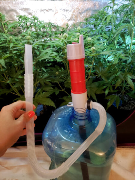 A water transfer pump is a handy tool for watering marijuana plants (or any plants).