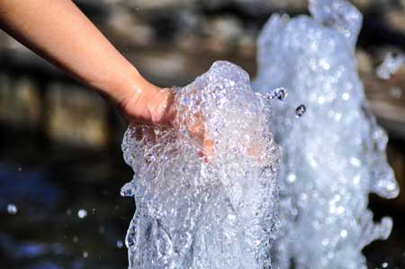 Hand in clean water - no cannabis plant is this thirsty!