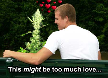A man who loves his plant... a little too much.