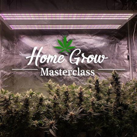 Home Grow Masterclass coming soon!