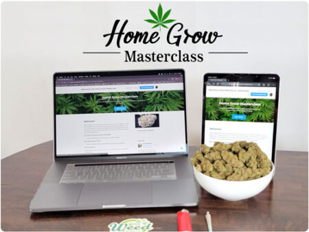 Check out Home Grow Masterclass, the ultimate cannabis home cultivation grow course that takes beginner growers from Seed to Weed and Beyond.