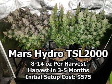 Mars Hydro TSL2000 300w Quantum Board LED Grow Setup for Growing Cannabis Average Yields: 8-14 oz ounces Plants: Recommended 2-6 plants Optimal grow space is a 2'x4'x6' grow tent Actual Power Consumption: About 300W at full power, and can be dimmed down for younger plants or if the temperature is getting too high How Far to Keep from Plants: 24″ from the top of plants in the vegetative stage, and 18-24″ away in the flowering stage (watch plants for signs of light stress) Summary: Mars Hydro TSL2000 LED grow light is a great seed-to-harvest cannabis grow light.