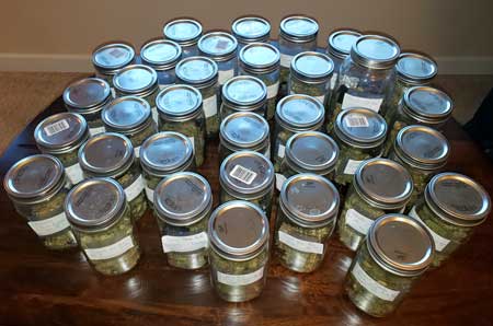A bounty of cannabis jars