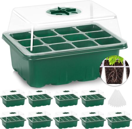 Small seedling trays are perfect for cannabis seedlings that just germinated
