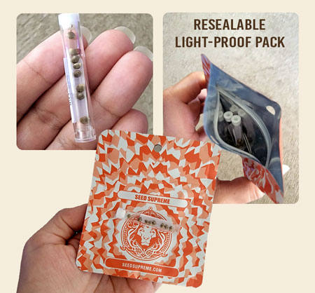 Seed Supreme has excellent cannabis seed storage for fresh seeds