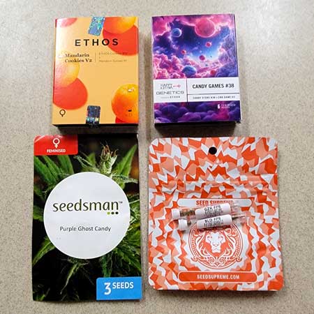 Possible strains for next grow