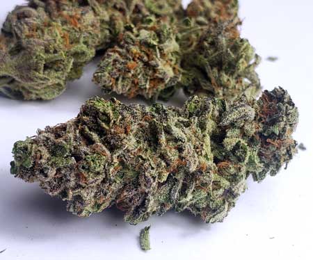 Mandarin Cookies bud after harvest
