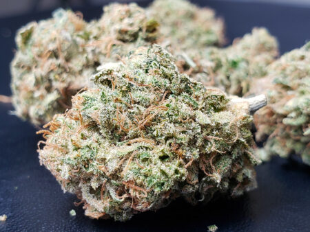 Zweet Inzanity - bud after harvest