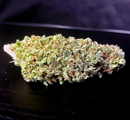 Alaskan purple buds