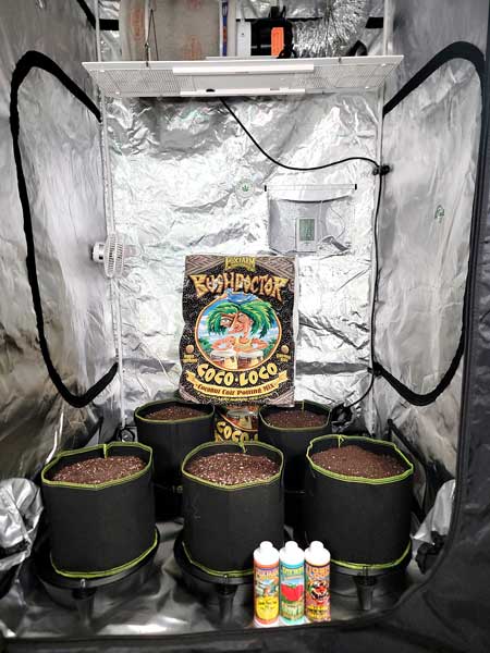 Grow tent is completely ready for the cannabis seedlings - GrowWeedEasy.com grow journal
