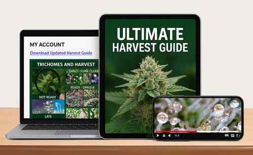 GrowWeedEasy.com's Ultimate Harvest Guide! Don't miss it!