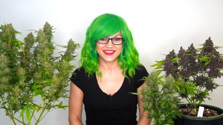 Nebula Haze of GrowWeedEasy.com posing with 3 cannabis plants