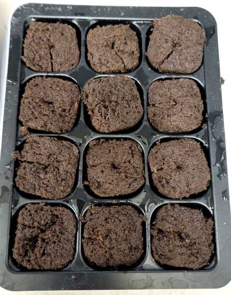 Rapid Rooters in a seedling tray. Cannabis germination method for home grow by GrowWeedEasy.com