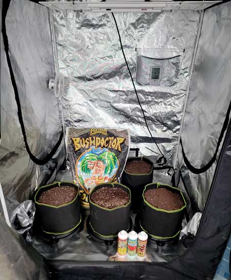 "Sweet Dreams" 4x4 grow tent with HLG 350 LED grow light, marijuana setup- grow journal by GrowWeedEasy.com