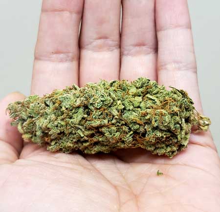 Zkittlez buds