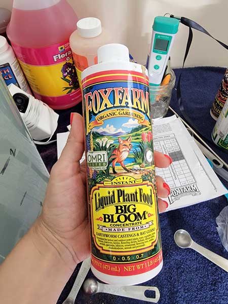 Already finished the bottle of Fox Farm Big Bloom (cannabis nutrients) growweedeasy cannabis grow journal