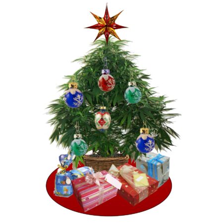 Christmas weed tree - check for cannabis seed sales around the holidays