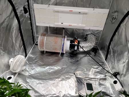 HLG 350 LED grow light with carbon filter and exhaust fan - GrowWeedEasy.com cannabis grow journal