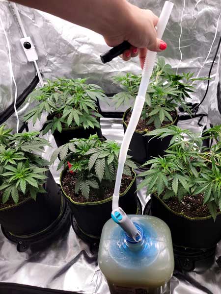 Water transfer pump to deliver water