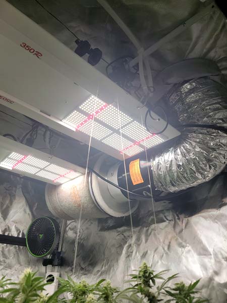 Hook to the top of the grow tent