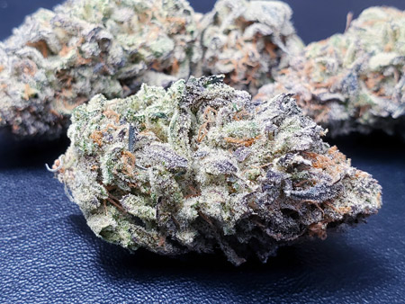 Mandarin Cookies bud