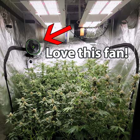 This small clip on fan is awesome