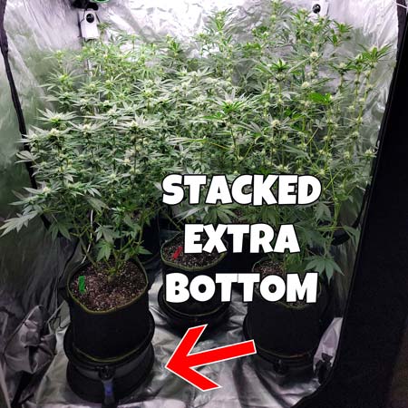 Stacked bottom to make small cannabis plant taller in the grow tent