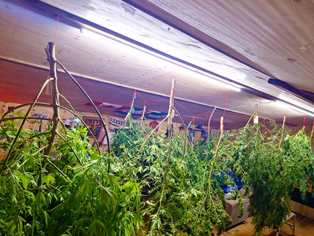 The vibes are immaculate!