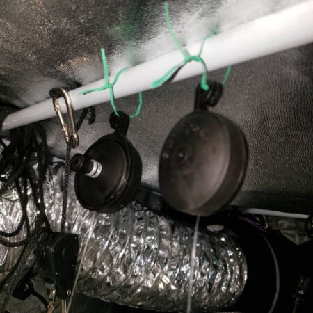 In a pinch, you can attach the plant yo-yos with plant twist tie like this