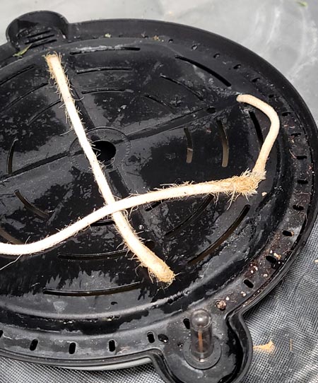 Auto-watering pots - roots grew into the ropes