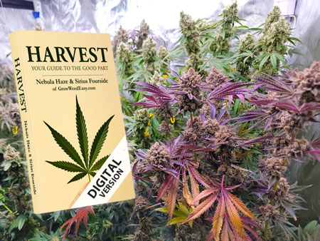 Get our $27 digital home harvest book on how to grow cannabis - by GrowWeedEasy.com